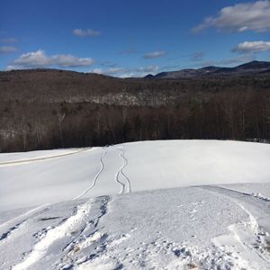 Meet your Posher, Ian